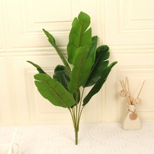 ����Gֲ9�^�Ž��~ �@���쾰�b������B�^�z�ָ��~��ֲ����˽�