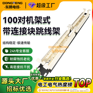 Processing and Customization of 100 Pairs of Rack-Mounted Patch Panels with Connection Blocks for Voice Telephone Patch Panels