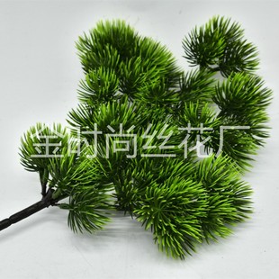 �����ɘ�֦ ���ɘ� ������� �G��ֲ�� �٘��b� �F�z����