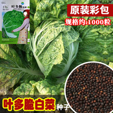 Ѓ~ײ˷N ˈ@r~~偲˷NӴײ