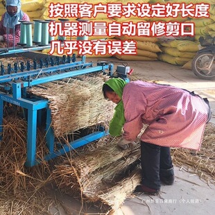 �ݴ��݉|���ӵ��ݺ��Ӻ���ɻ�ݺ������������ݰ���·���ط�������