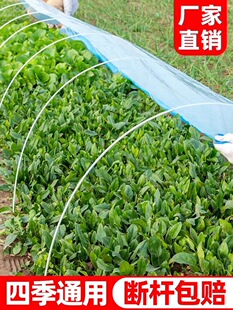 С����֧�����Ͳ����w�S����Ǽܱ��ص�Ĥ�߲��ﹰ�U�r��֧�Ηl