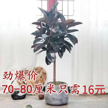 ��Ƥ��͏d�����Ժڽ����҃��̨�ļ�������B�辰���ܾGɫֲ��