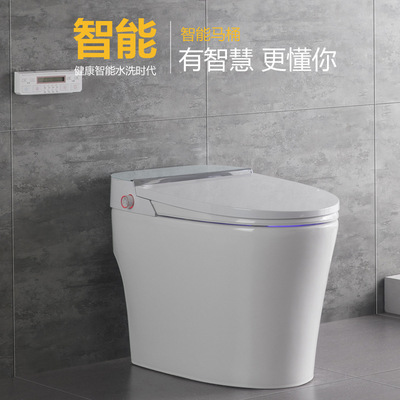 household automatic Flip Jiaogan Flip intelligence Toilet seat water tank Heater Dry pedestal pan