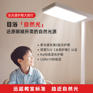 全光谱大路灯落地护眼灯儿童学生学习专用大陆立式台灯阅读防近视-阿里巴巴