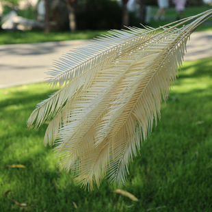 �S؛���l�F��֦�~���ϻ����T���滨��c���Ļ�Y�ò��õ���b�