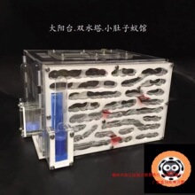 �̨ϵ��Λρ�e���������������Ǳ�������M�b��С�̨�����̨ţ