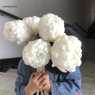 ���������E ������ ѩɏ�����ﻨ�ɻ�ܛ�b��廨ѩɏ����c����