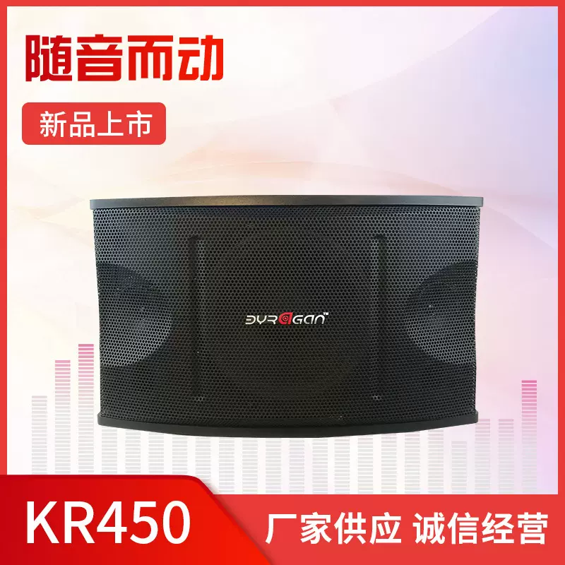 音箱大功率直播网红唱K歌音响广场舞音响卡拉ok商场会议专业设备
