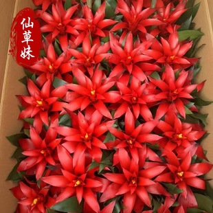���\���^���� ƽ�^�t �����҃Ȼ��ܾGֲ��피t �������P��С�t��