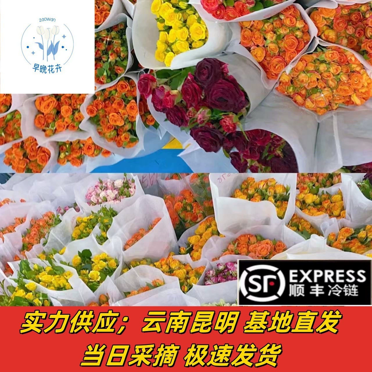 Юньнань Куньмин многоголовочная база для цветов роз прямая партия многоголовочных цветов розы оптом домашний киоск цветочный магазин