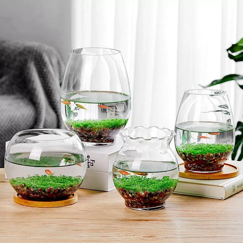 Настольный экологический микроландшафтный аквариум, гидропонная стеклянная бутылка, офисное зеленое растение, ландшафтный дизайн, прозрачный мини-горшок для растений