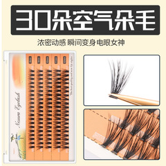 Wheat Straw False Eyelashes - Sectional 0.05mm Hot Melt Single Cluster 30 Pieces, Self-Rooted Soft and Dense Mixed Pack