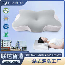 跨境新品记忆枕头慢回弹冰丝面料人体工学仰睡侧睡睡眠记忆棉枕头