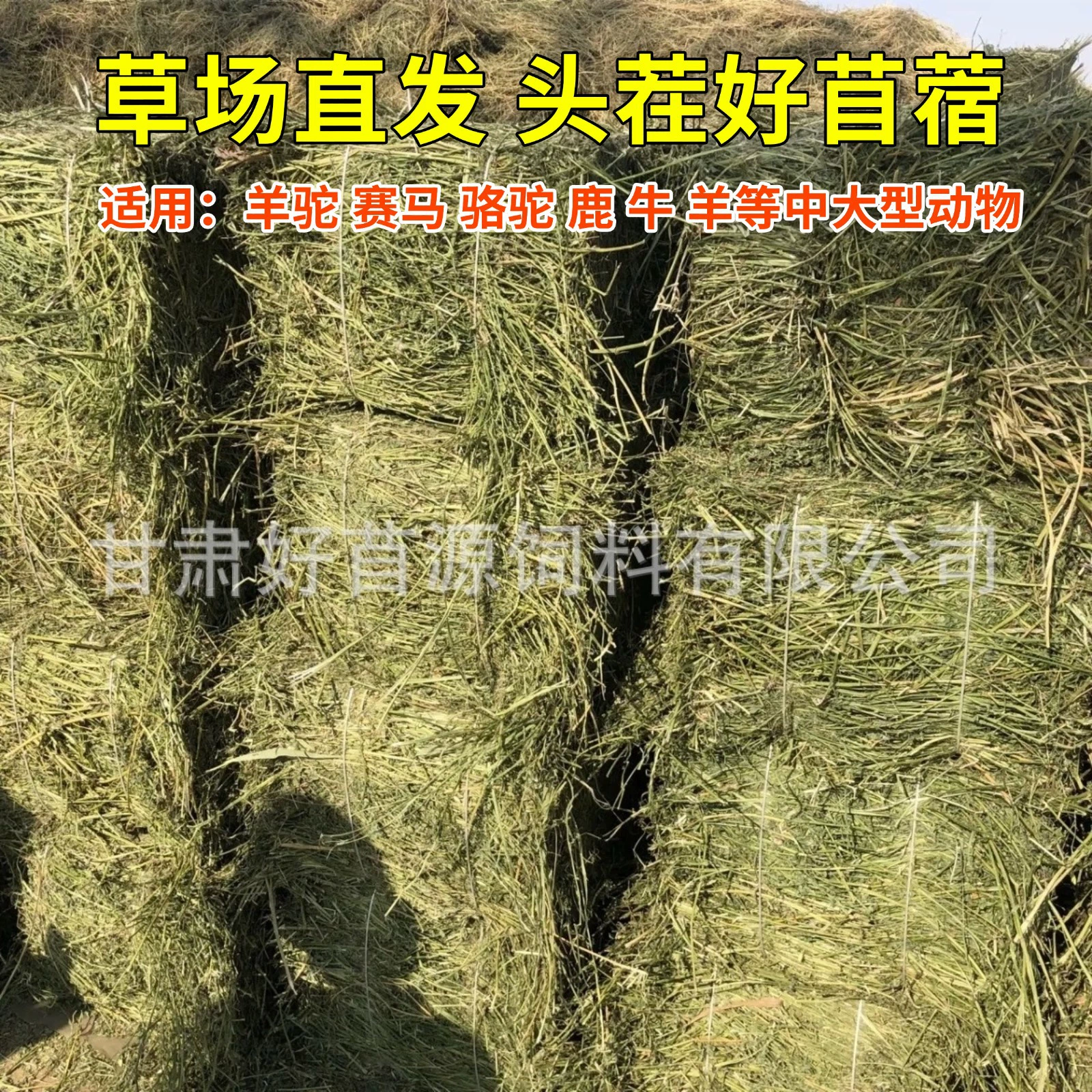 Сено из люцерны для лошадей, крупного рогатого скота, овец, корм для альпак, люцерна для фермеров, кормовые кучи, блоки сена, люцерна.
