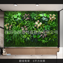 ���̾G��䡿����ֲ�1ƽ���|�����w����Gֲ���bGɫ�쾰