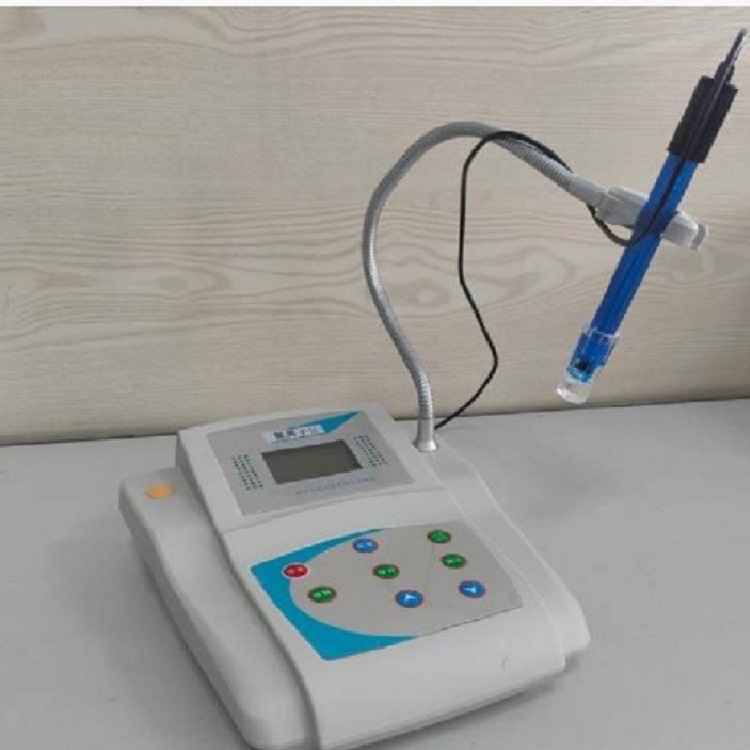 钙离子计 钙浓度仪 钙含量检测仪 型号ZRX-30603