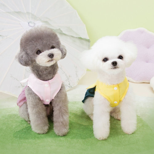 Dogs and cats Korean dress summer skirt spring clothes Bichonja Pomei small dog pet spring and autumn style college style