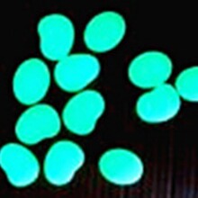 SṩLЧ԰l{Gˮҹۃr񌍻