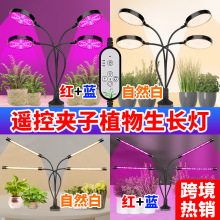 ǫ����������ֲ���LEDֲ�ﲹ��ƶ�����ͷ���ӵƶ�ʱ����๦��