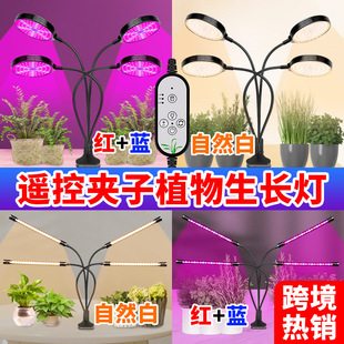 Светильник в помещении, светодиодная лампа для растений, универсальный заполняющий свет
