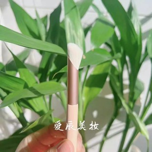 Shake the same mini makeup brush suit color blush brush eye shadow brush loose paint travel portable soft brush