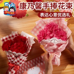 Mother's Day Carnation Bouquet Toy Handmade DIY Material Package Blessing Gift Wholesale Send Mom Toys