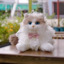 ߶˷؈żż؈ëq鹫߱탺ͯնY