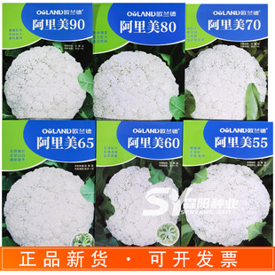 �W�m�°�����55/60/65/70/80/90���๣�ɻ���ɢ���׻���С����