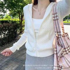 2025春秋季新款美式拉链连帽小麻花毛衣连帽针织开衫显瘦上衣女装