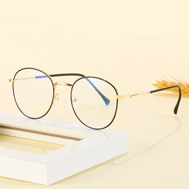 太阳镜;框架眼镜;老花镜