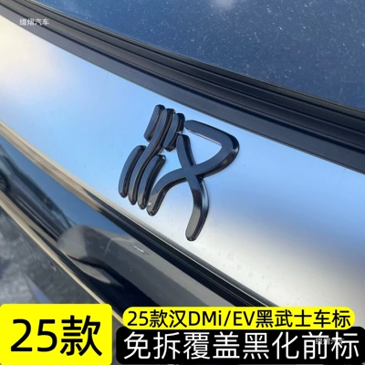 Car logo — BYD Han DMi/EV blackening kit, front