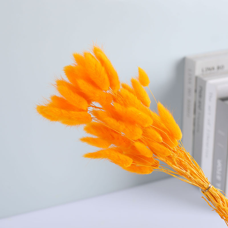 La flor eterna de la flor de la cola de conejo hierba seca 60 piezas al por mayor Dogtail hierba seca ramo de flores decoración DIY conejo hierba de la cola