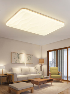 Scandinavian Ceiling Lamp Living Room Lamp Bedroom Lamp Led Acrylic Creative Children's Room Japanese Tatami Indoor Lamp