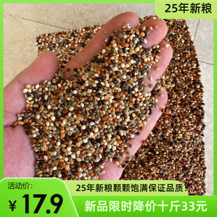 25�� �¼Z ��ɫ������� �W�^ ���B ���� �S�B ���B �zȸ ���