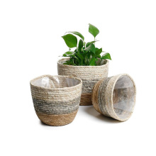 �Wʽ��Ȼ���ݾ��������پ�ֲ��Gֲ����Ҿ��b������@�ռ{��