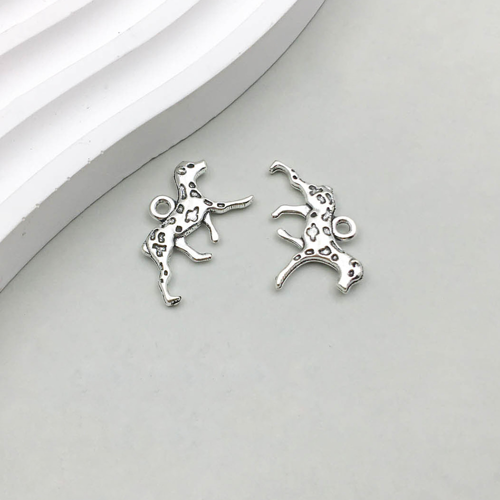 1 고대 실버 발견 된 개 13*24mm-1.3g-9808