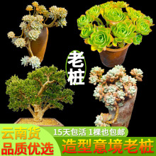 �Ϙ��������؛���]ֱ��������^��Ʒ�����⾳���ֺ�¶�Bˇ�c���@