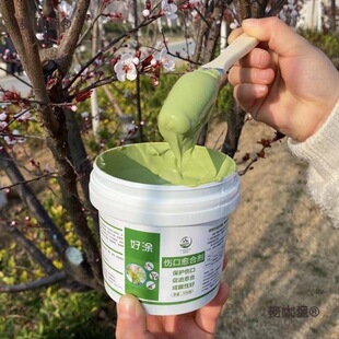 ֲ��������τ��TĨ���п����������޽ӉT�a����ľ�TĤ����̫��