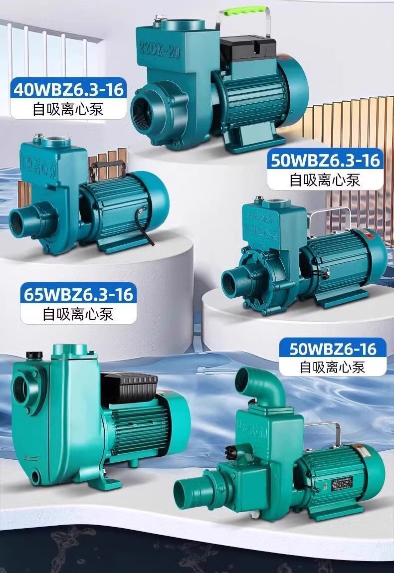 Zdk Self-Priming Pump 220V Household Large Flow Clean Water Pump Water Pump Agricultural Sewage Septic Tank Sewage Centrifugal Pump
