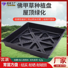 ��픾G�������λ����бPģ�Kʽ����P���@�G����ײݷNֲ���P�S��