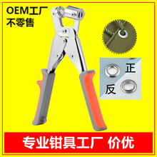 uۿۚۿ։QքӴQ۴ЬȦ񲼴Q