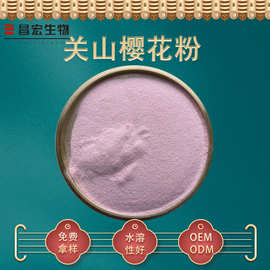 关山樱花粉99% 樱花粉 新资源食品 樱花速溶粉 昌宏供应 现货包邮