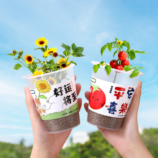 Internet Celebrity Milk Tea Cup Potted Sunflower Kidsren's DIY Green Plant Vegetable Potted Prize Plant Growth Observation Toy