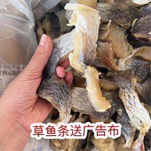 ���~�lչ���ؔ��r��������~�ɲ��~�l�_߅���~���|�~�ɽ���t���~