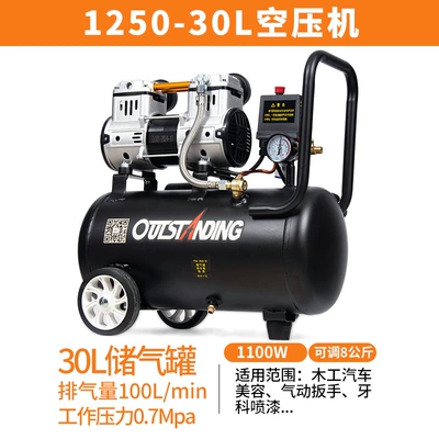 air compressor air pump oil-free: Hava kompressorları - 2-grade-1100-30l-copper-wire