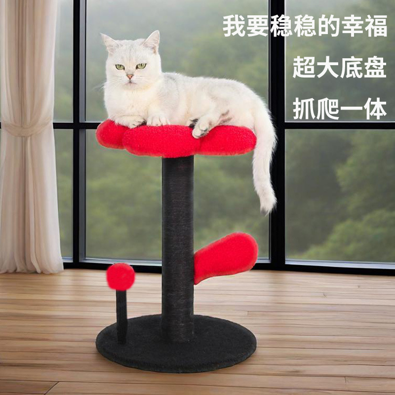 新商品の猫は棚の高い顔の値の花の猫の巣を登ります。|undefined