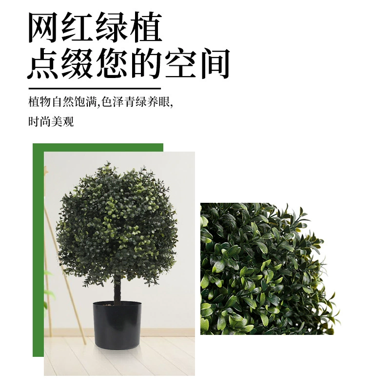 Amazon Simulation Green Plant Basin Plant Planted Olive Tree Bonsai Bonsai Interior and Outside Porch Courtyard Ido Popular Wood Wholesale
