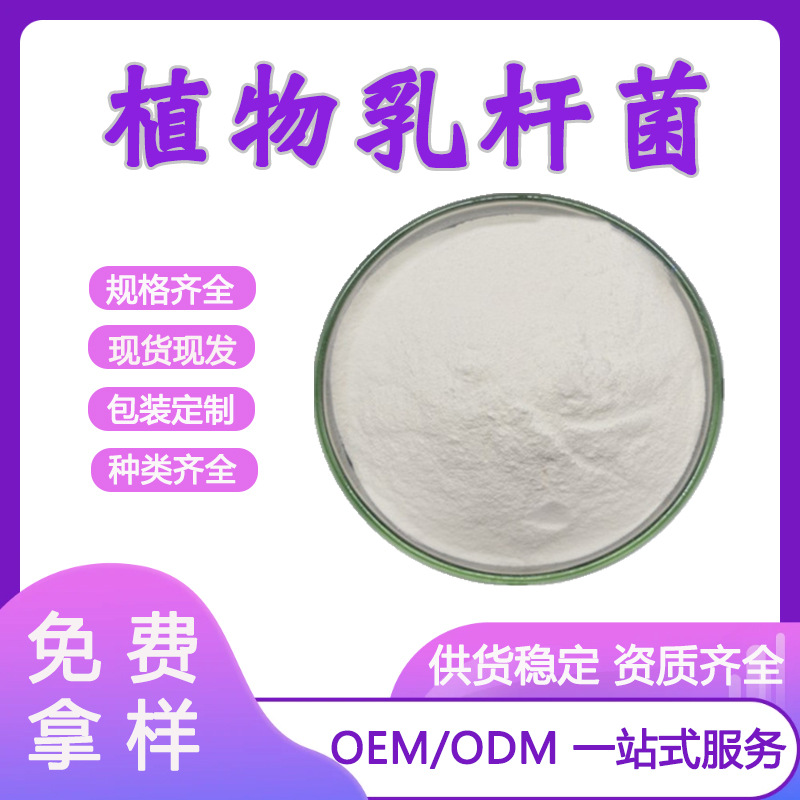 植物乳杆菌 1000亿cfu/g  乳杆菌 冻干型乳酸菌  益生菌原料 现货
