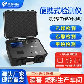 其他气体分析;硫化氢检测仪;气体检测仪